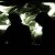 Live � Kathedral