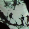 orphx-museum-contemporary-art-2001